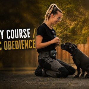 Puppy Course / Basis Obedience